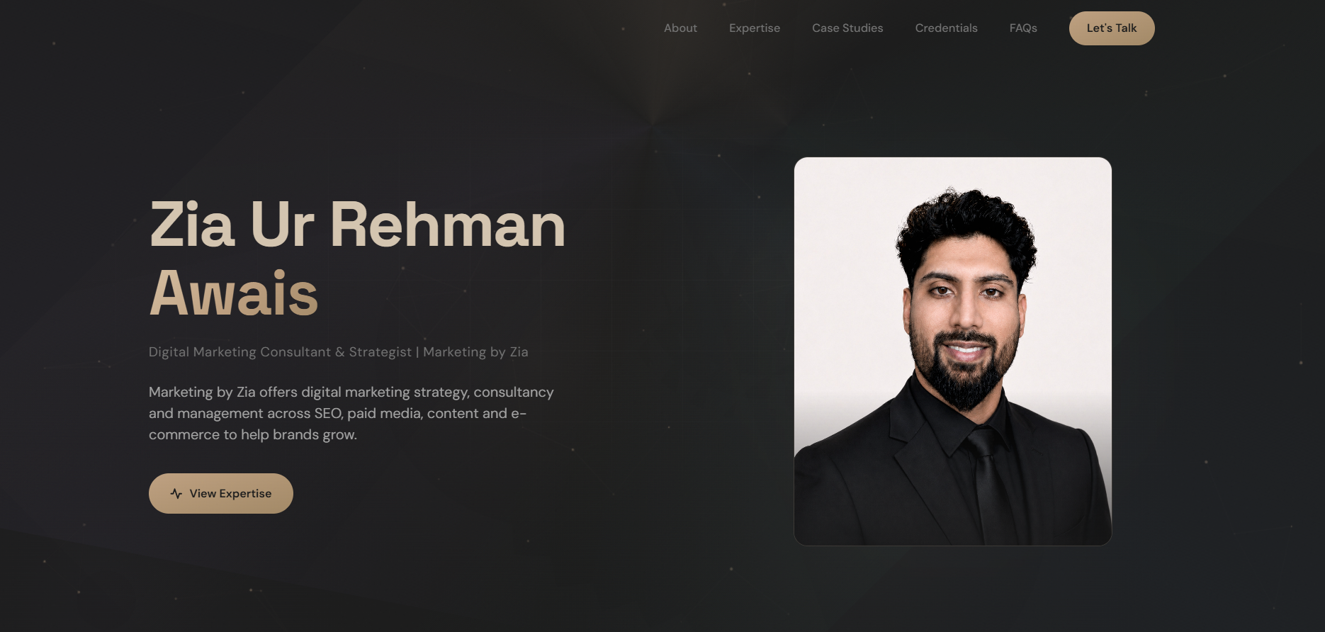 Zia digital marketing consultant portfolio website by Muhammad Tayyab